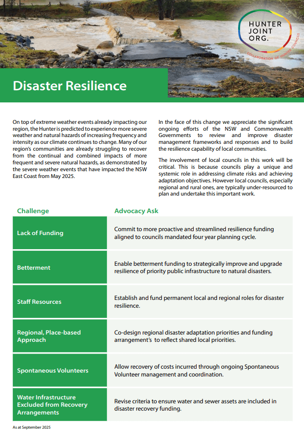 Factsheet Disaster Resilience