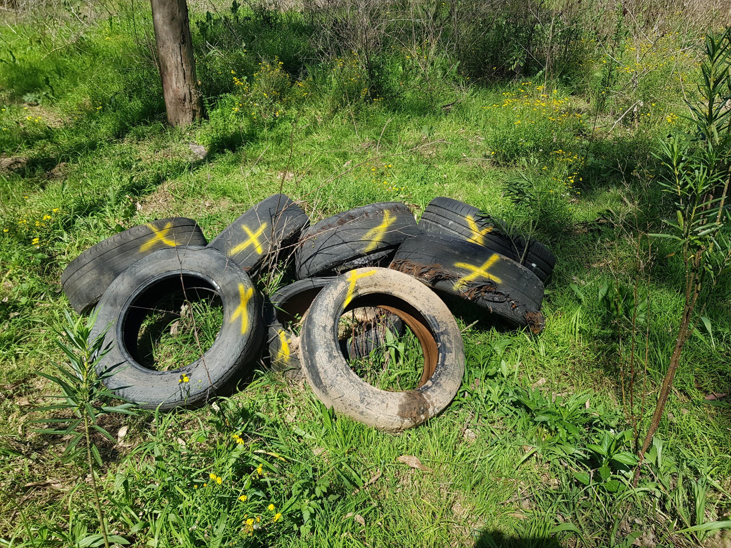 A pile of tyres